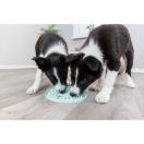 Assiette � l�cher Junior - image 5