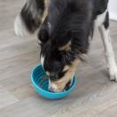 Bol � l�cher Lick�n�Snack - image 3
