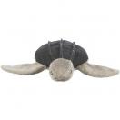 Tortue Hauke -  BE NORDIC - image 2