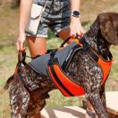 Harnais pour chien multifonctionnelle - Julius K9 - image 5