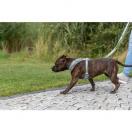 Harnais Premium FlexMesh � Coupe Large - image 2