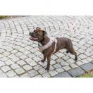 Harnais Premium FlexMesh � Coupe Large - image 3