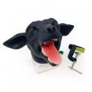 T�te canine d�intubation - image 4