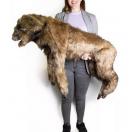 Chien "Rocky" � Mannequin de positionnement - image 7