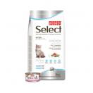 Select Kitten � Poulet & Riz