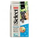 Select Mini Adult - Poulet et riz