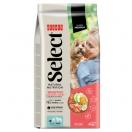 Select Mini Adult - Saumon et riz