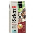 Select Dog Adult Maxi - Poulet et riz