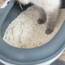 Liti�re pour chat au tofu - image 4