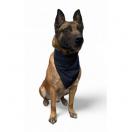Plastron de c�r�monie ou de d�coration pour chien