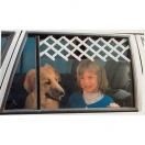 Grille d�a�ration pour fen�tre
