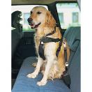 Harnais de s�curit� auto
