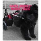 Chariot pour chiens � mobilit� r�duite