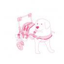 Chariot pour chiens � mobilit� r�duite - image 3