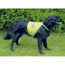 Chasuble de s�curit� pour chien