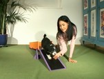 Balançoire Agility 5 en 1 vidéo_1