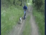 Vidéo Patinette de cross vidéo_1