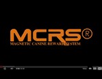 MCRS, balle magnétique vidéo_1