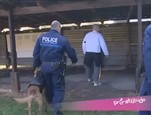 Scéance d'entrainement pour les Brigades Canines Police Municipale du 91 vidéo_1