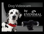 Dog Videocam vidéo_1