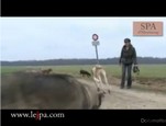 Refuge SPA d'Hermeray vidéo_1