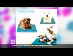 Tapis auto-rafraichissant vidéo_1