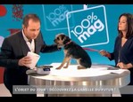 Gamelle eyenimal avec balance vidéo_1