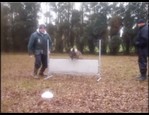 Cannonball lanceur de balle vidéo_1