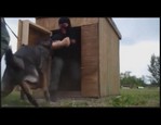 Bras de déconditionnement vidéo_1