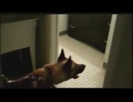jambe de déconditionnement vidéo_1