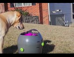 lanceur de balle automatique vidéo_1