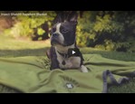 Plaid Insect Shield vidéo_1