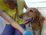 Aquapaw - Gant lavant pour chien vidéo_1