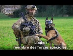 K9 Vision System - Le monde de Jamy vidéo_1