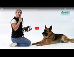 Muselière Baskerville vidéo_1