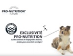 Pro-Nutrition | croquettes pour chiens et chats | Made in France vidéo_1