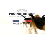 Pro-Nutrition | Croquettes chats & chiens | Made in France vidéo_1