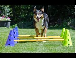 Fitpaws Canine Gym Agility Set vidéo_1