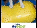 FitPaws Trax Peanut vidéo_1