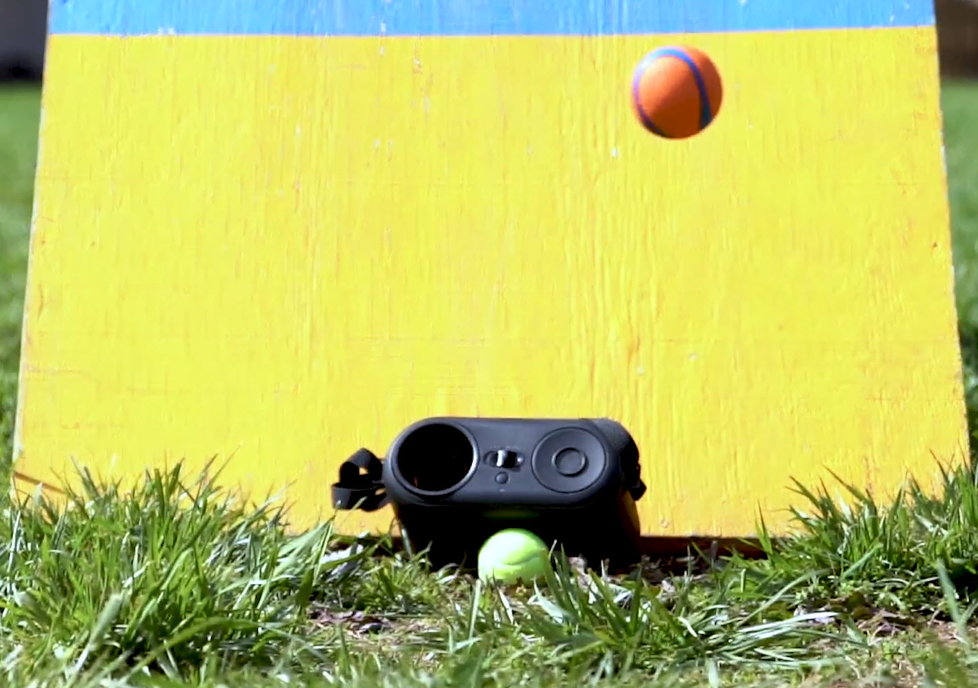 Lanceur de Balle - Ball Trainer Pro Dogtra vidéo_1