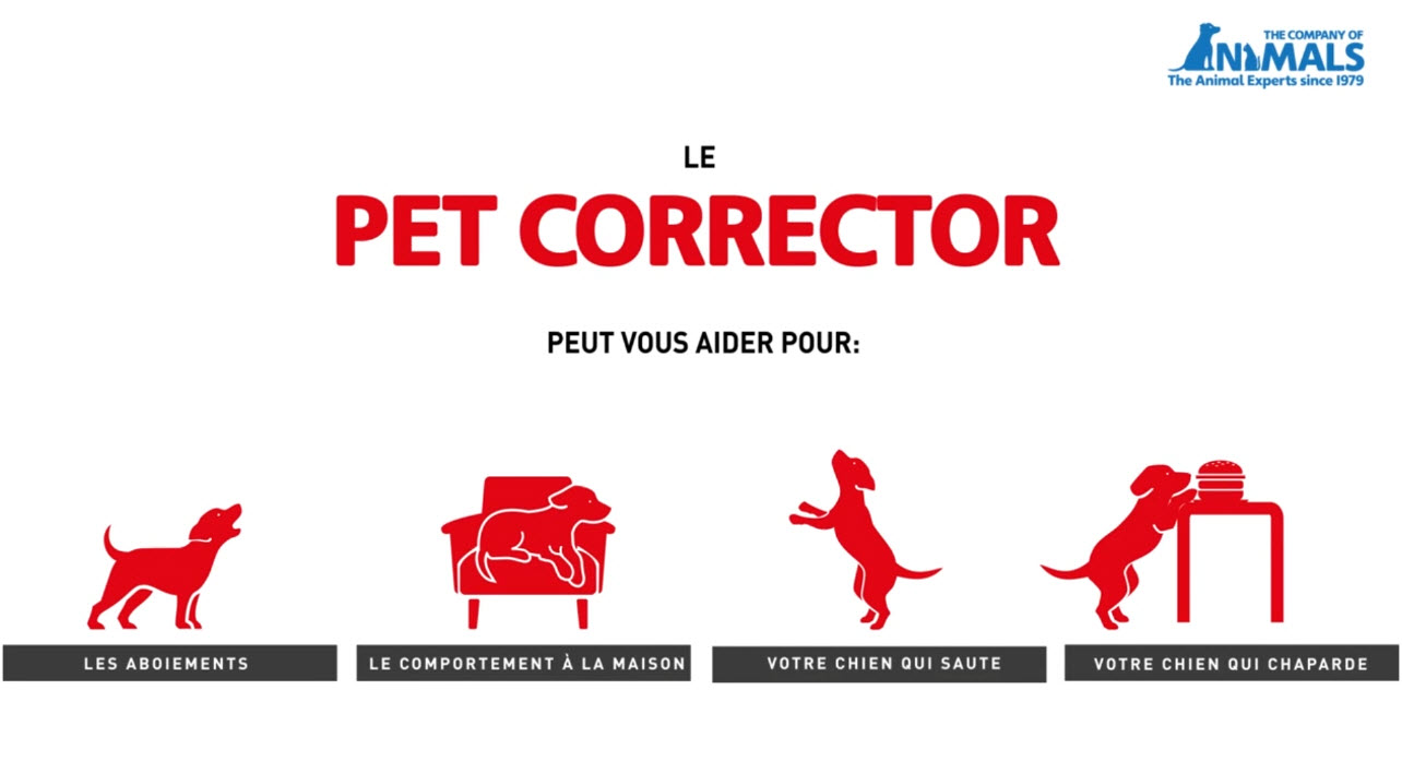 Un chien mieux éduqué grâce au Pet Corrector Morin vidéo_1
