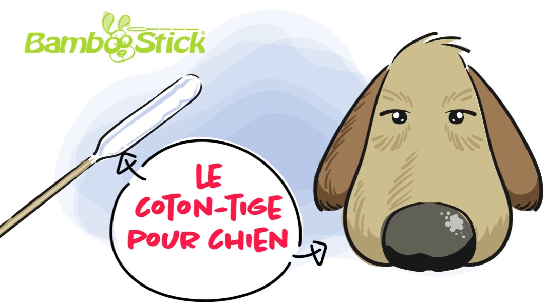 BambooStick - coton tige pour chien vidéo_1