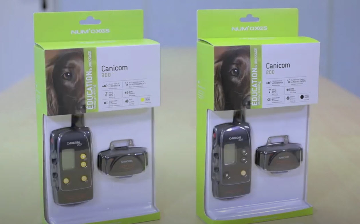 Collier de dressage pour chien Canicom vidéo_1