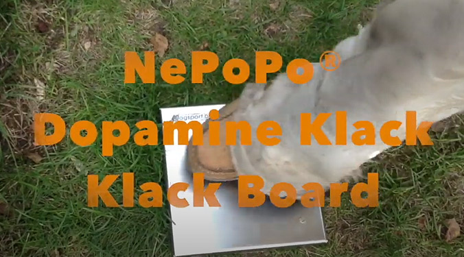 Klack Klack Board pour chiens vidéo_1
