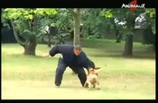 C.N.F.U.C. - Police Nationale vidéo_1
