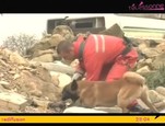 Groupe Cynotechnique des Pompiers de Paris vidéo_1