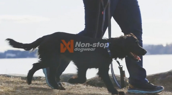 Harnais Ramble Harness - NON-STOP Dogwear vidéo_1