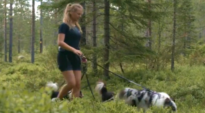 Harnais de pistage pour chien Line Harness 5.0 - NON-STOP Dogwear vidéo_1