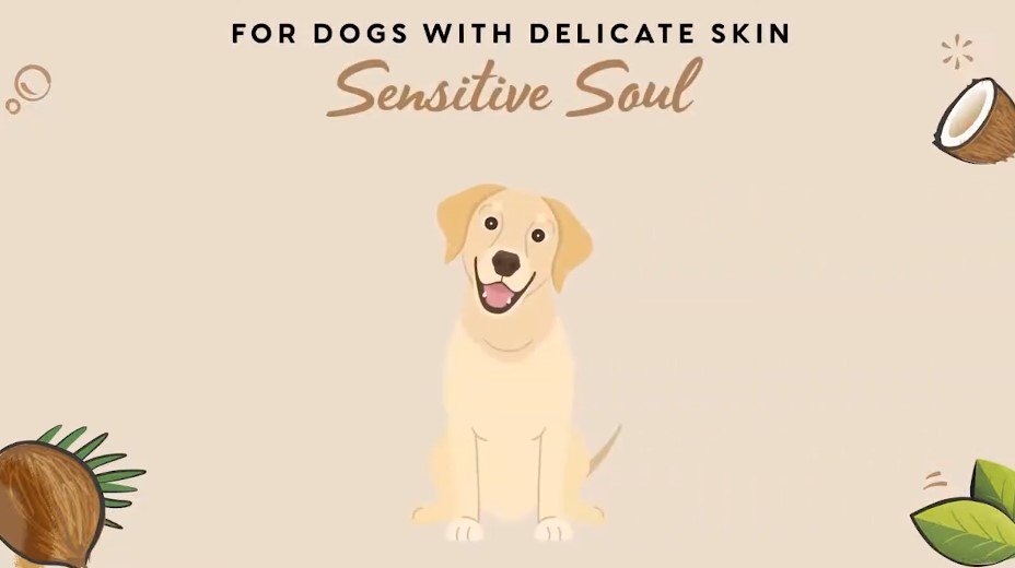 Shampoing PET HEAD - Sensitive Soul vidéo_1