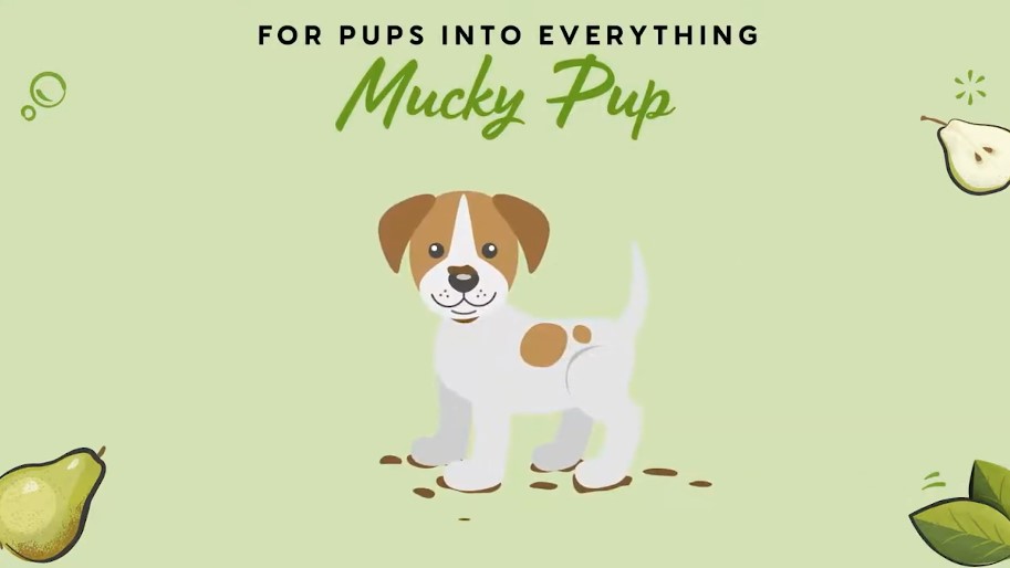 Shampoing PET HEAD Mucky Pup vidéo_1